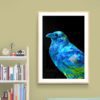 Blue Bird Nature & Creatures 4