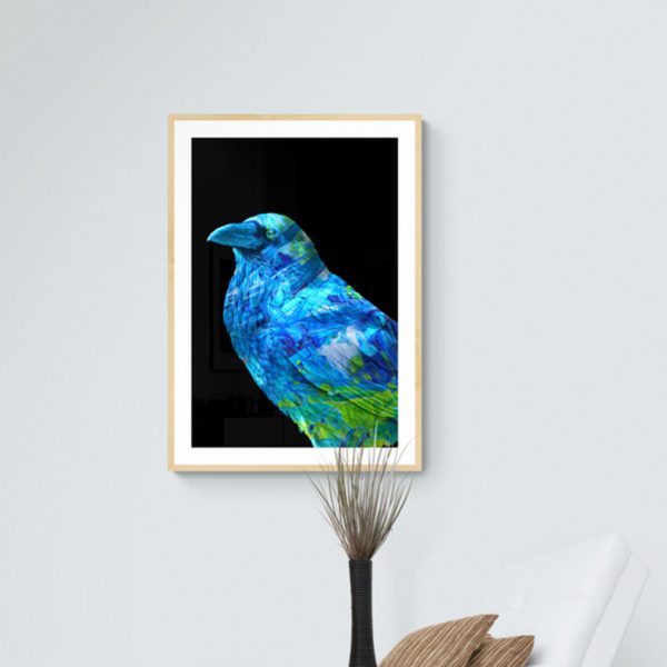Blue Bird Nature & Creatures 2