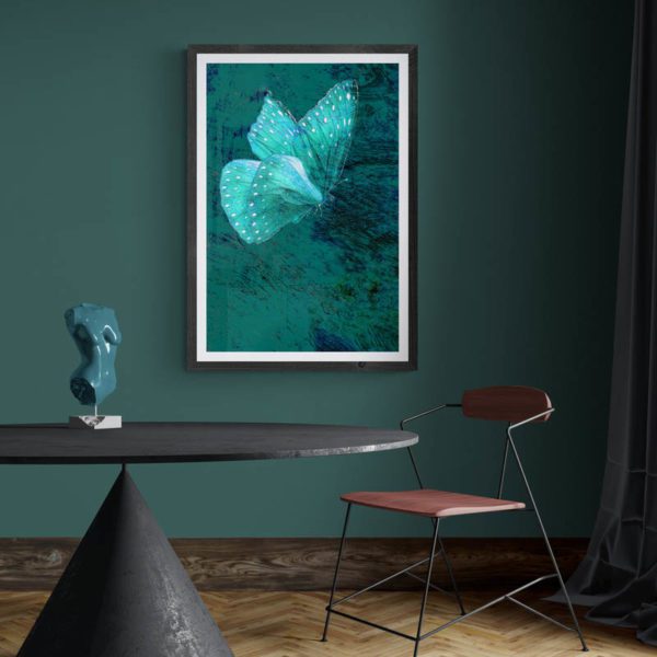 Butterfly in Teal Nature & Creatures