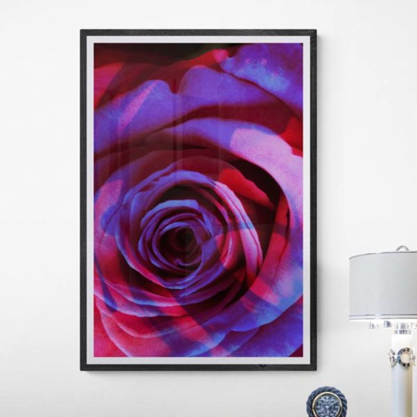 Purple Rain Rose Floral