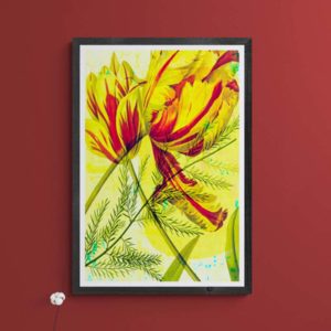 Yellow Tulips Floral 4