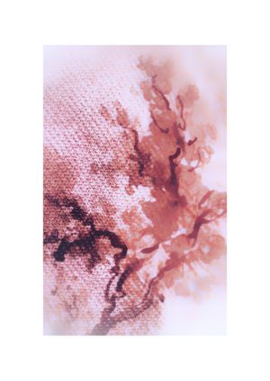 Cherry Blossoms Floral 4