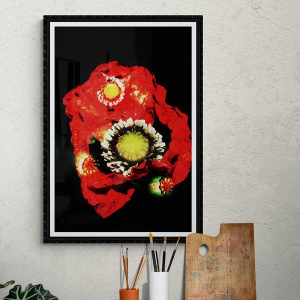 Poppies Floral 3