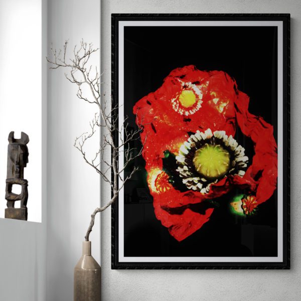 Poppies Floral 4