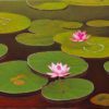 Lotus Pond Nature & Creatures 2