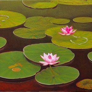 Lotus Pond Nature & Creatures